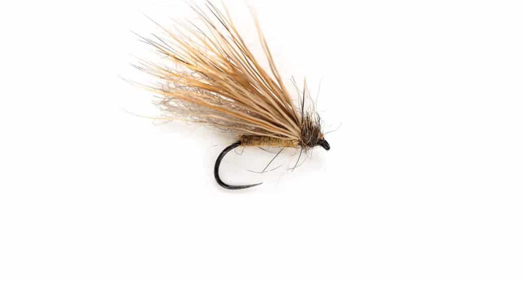 Agnhaldslaus fluga