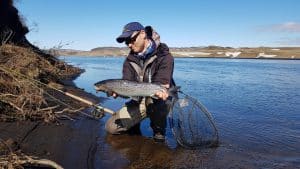 Tungufljót í Skaftártungu veiðimaður með sjóbirting