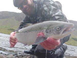Þrastalundur lax