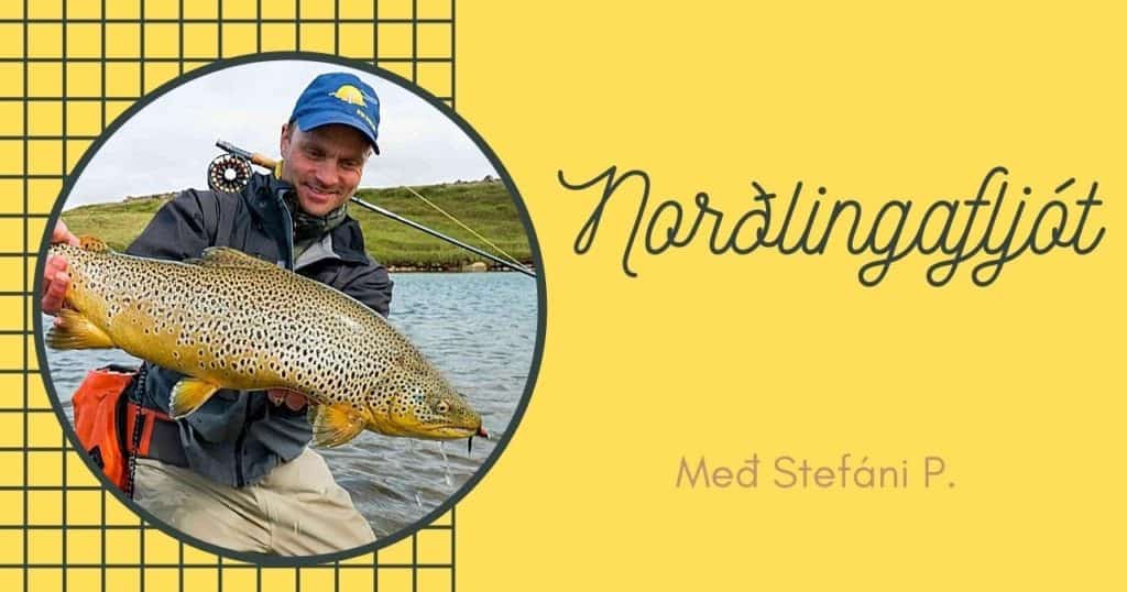 Veiðifélagar #8 þáttur - Norðlingafljót