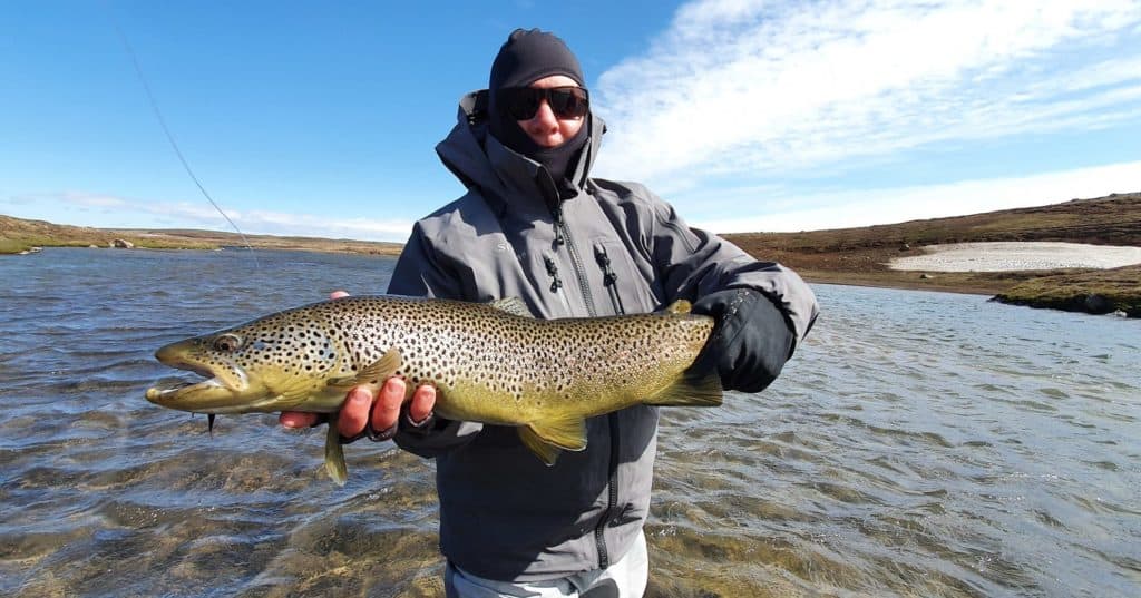 Norðlingafljót urriði