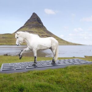 Aðstaða fyrir hest